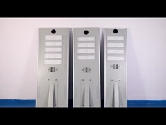 ประเภทแบตเตอรี่ Life PO4 All In One โซลาร์สตรีทไลท์ 6600lm